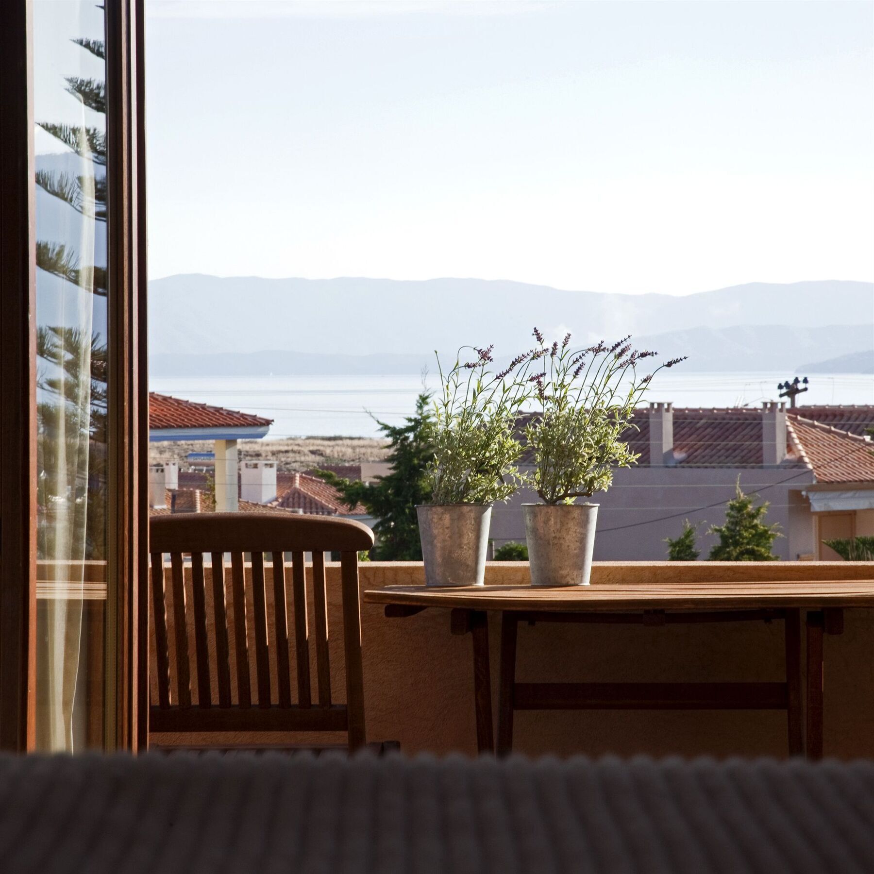 Angelina Boutique Escape Πέρδικα